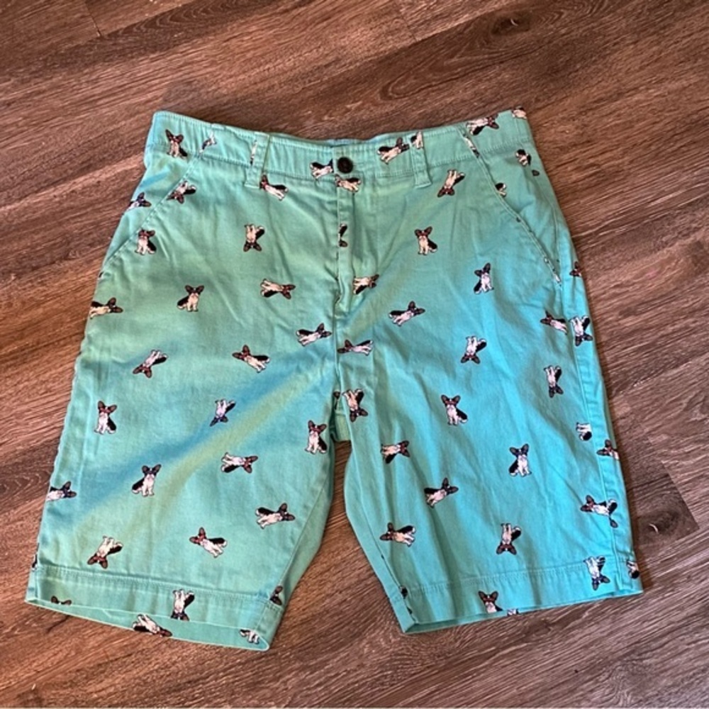 Plugg Shorts Mens Size 30 Boston French Bulldog Teal Green Pockets Flex